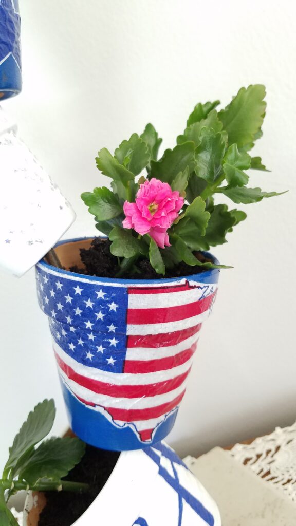 flag pot with pink flower kolanchoe