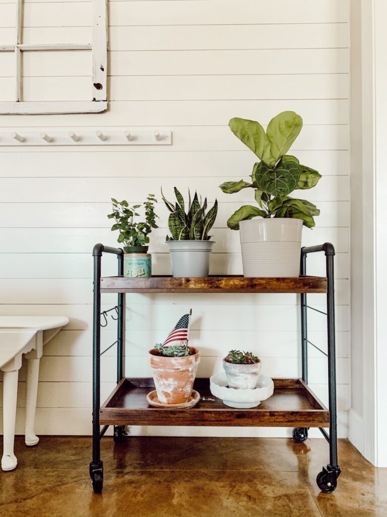 roller cart with plants on it