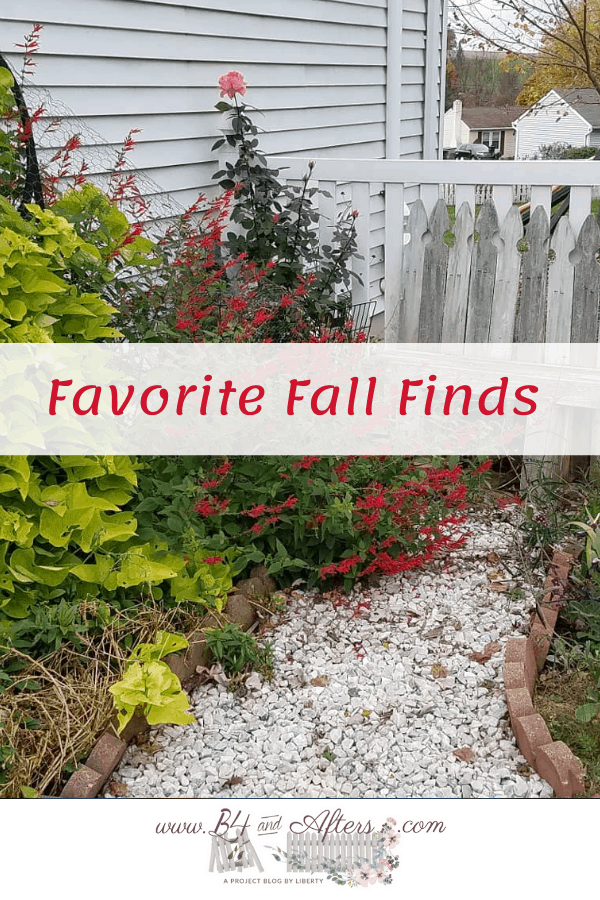 Sweet potato vine, blooming pineapple sage, wooden bench, rock walkway