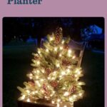 lighted Christmas Tree on a chair