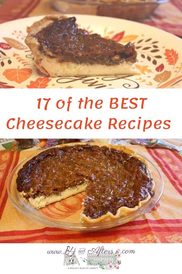 17 best cheesecake recipes pecan cheesecake