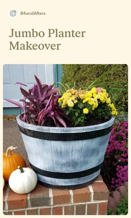 The Secret of My Huge Planter