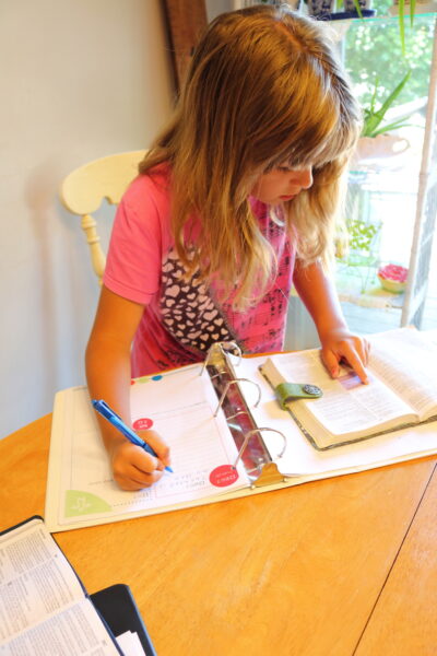 Why I Homeschool My Kids – B4 and Afters - 7 plus reasons why