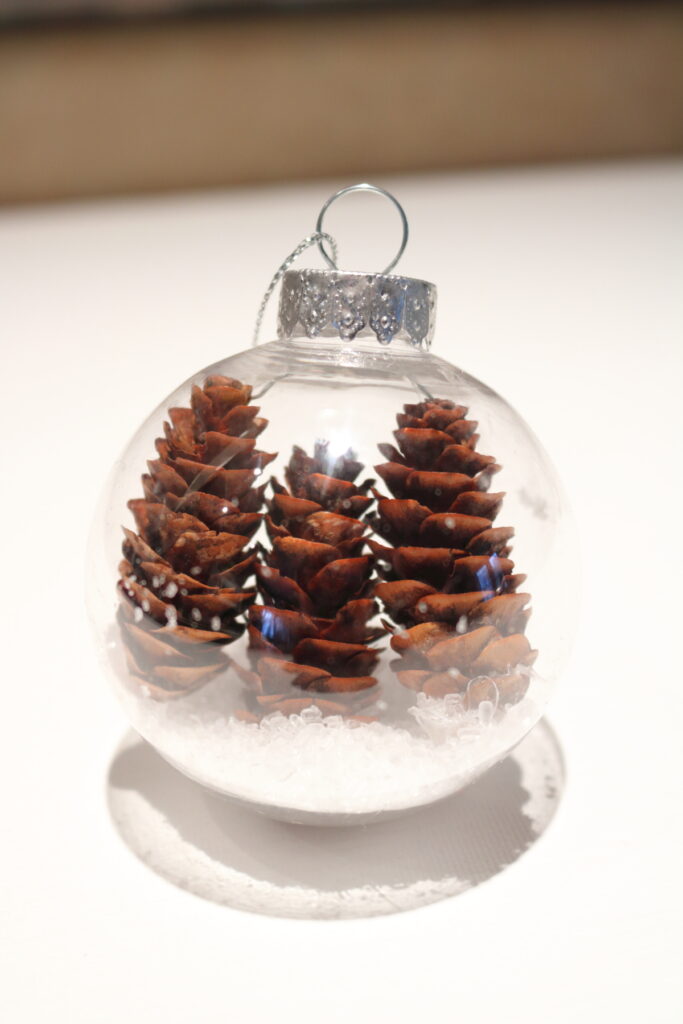 3 mini pinecones in a clear ornament