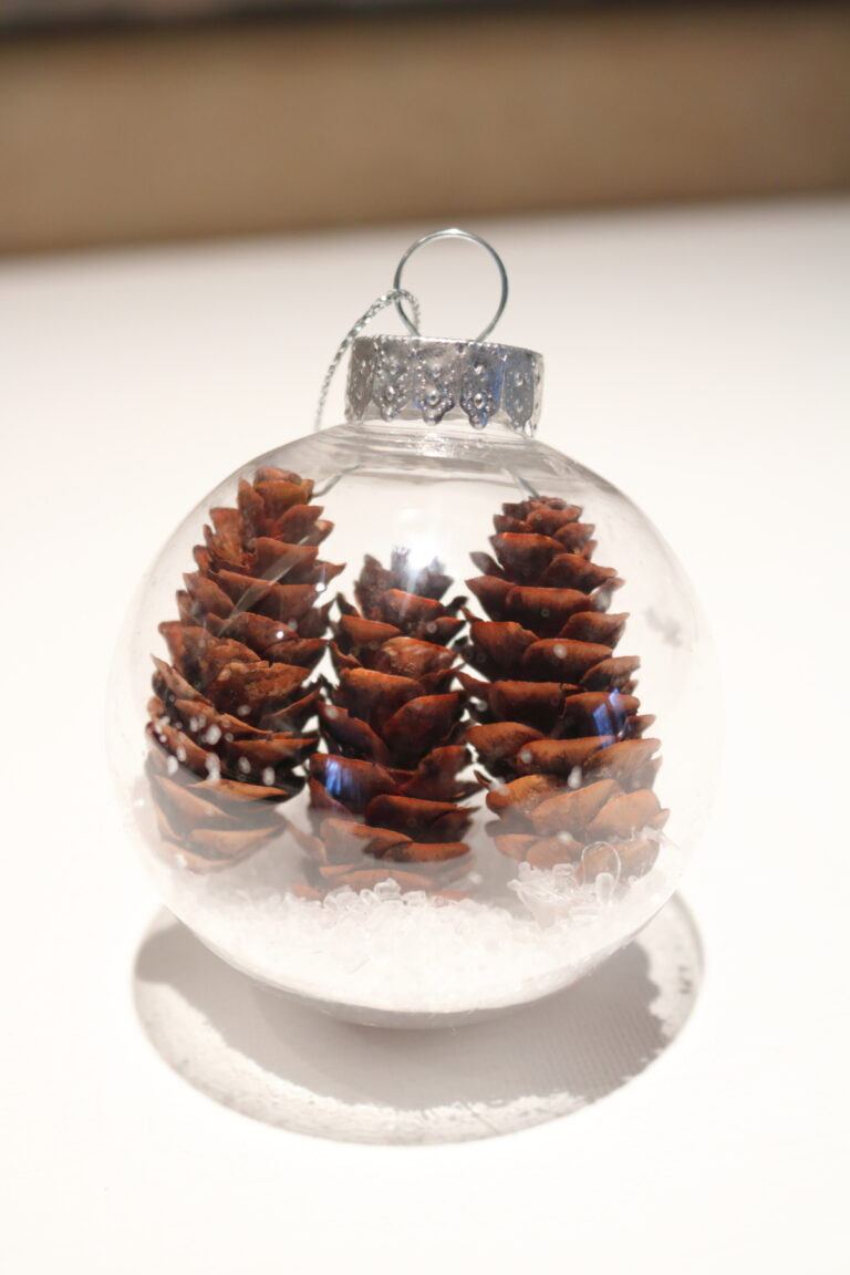 3 mini pinecones in a clear ornament