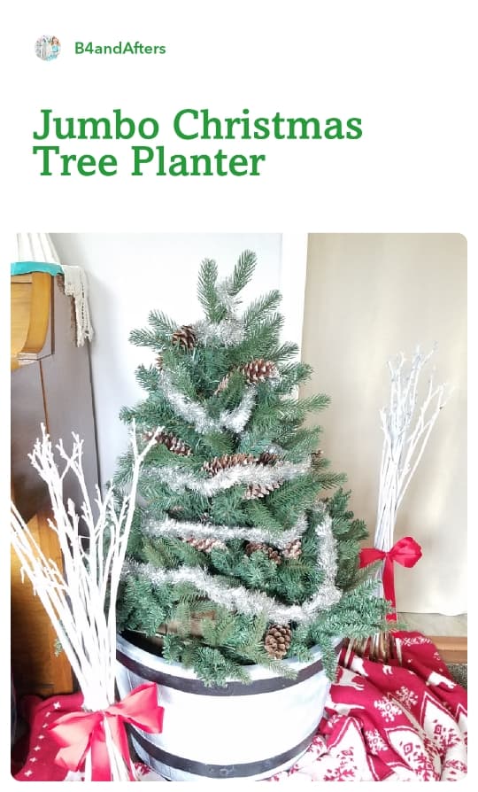 Three foot high Christmas tree in a jumbo bucket planter