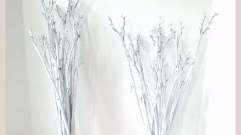 white dried stems with red ribbon