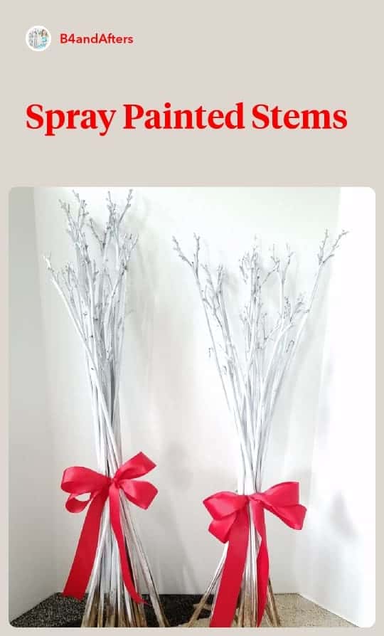 white dried stems with red ribbon