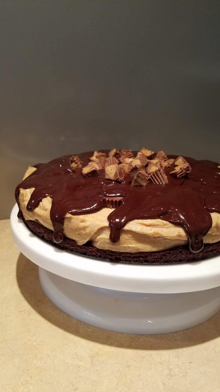 Peanut Butter Cheesecake Brownie Cake