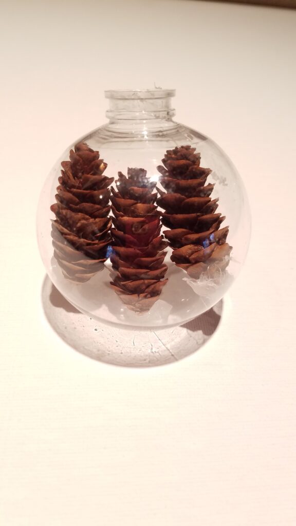 pinecone ship in a bottle