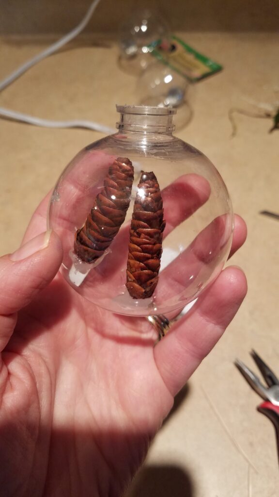 2 wet pine cones in a clear Christmas ornament