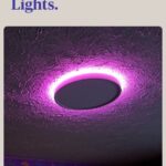 Pink smart LED Ceiling light