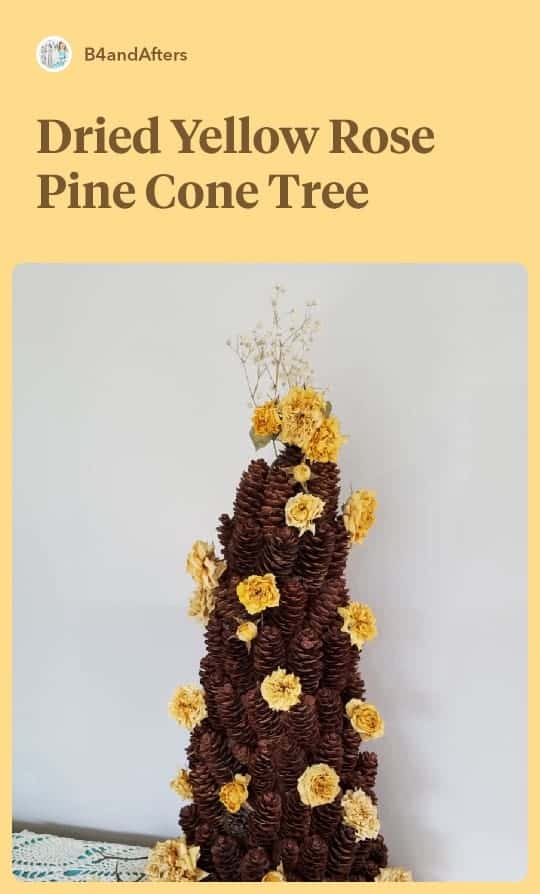 yellow roses dried on a mini pine cone tree
