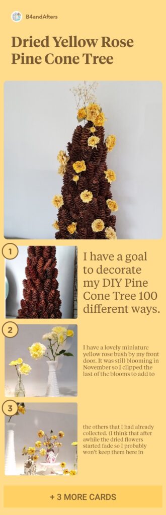 step by step dried roses on a pine cone tree