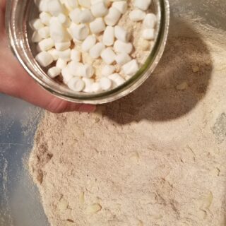 snickerdoodle mix