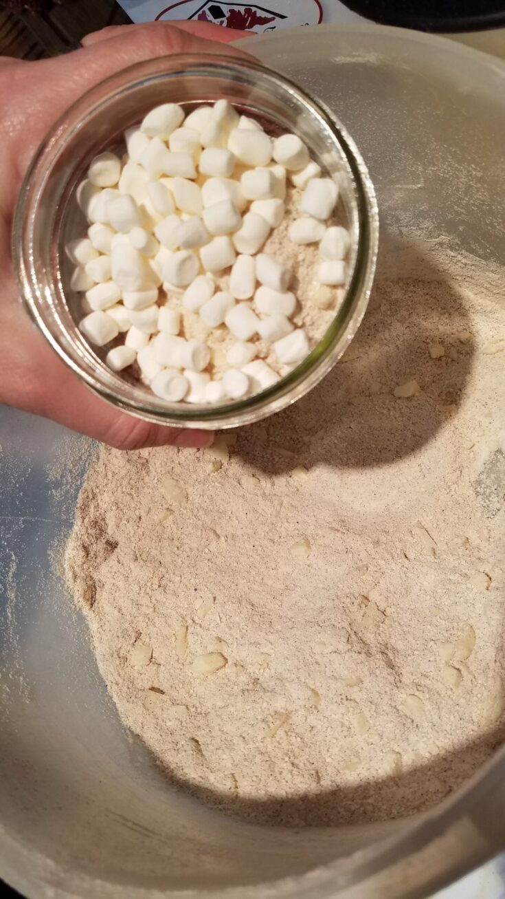 snickerdoodle mix