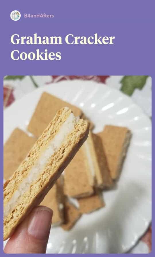 graham crackers with frosting in the middle