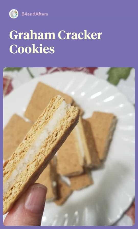 Graham Cracker Cookies