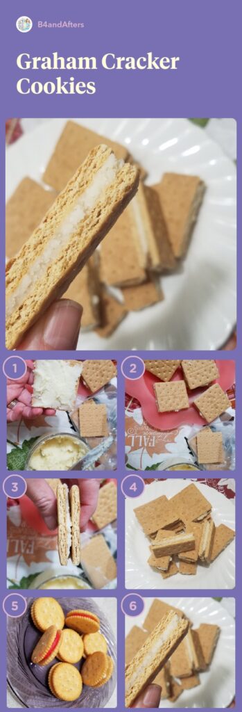 graham cracker cookies with step by step pictures