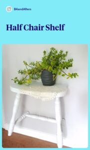 white half a chair with a plant on the shelf