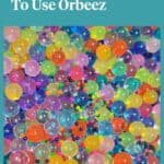 Orbeez seeds with orbeez that have grown in water
