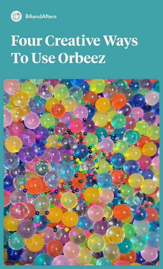 Orbeez seeds with orbeez that have grown in water