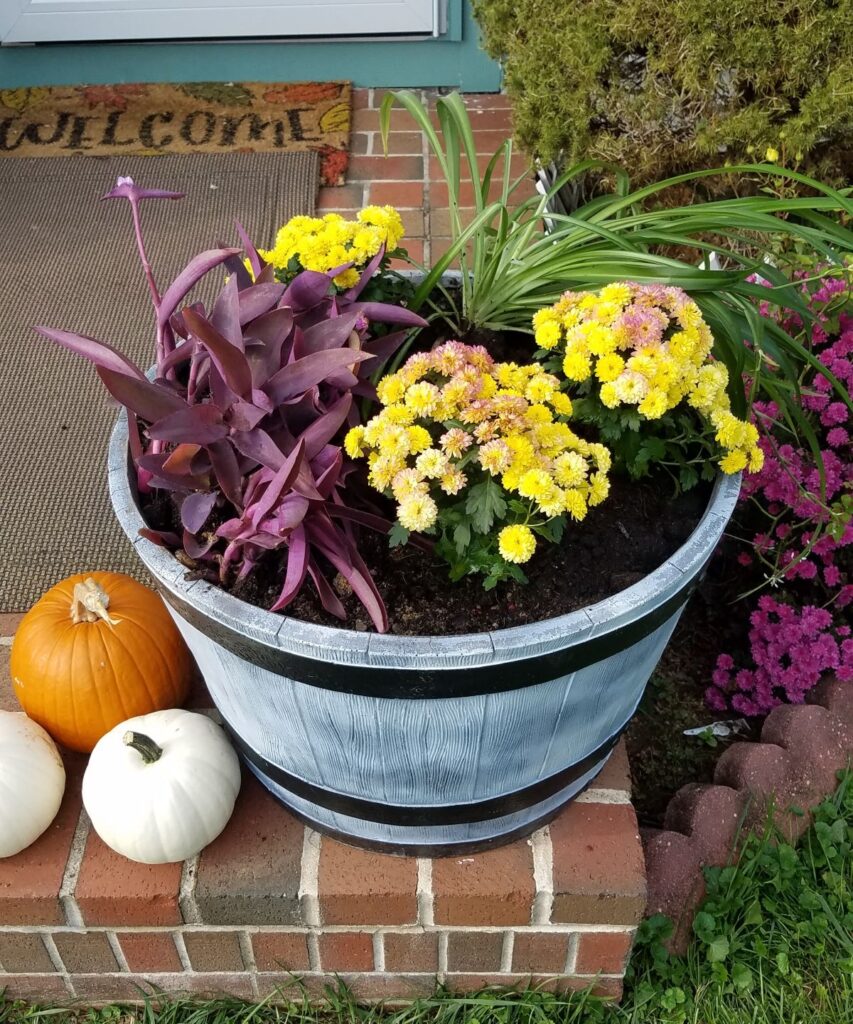 flowers in planter