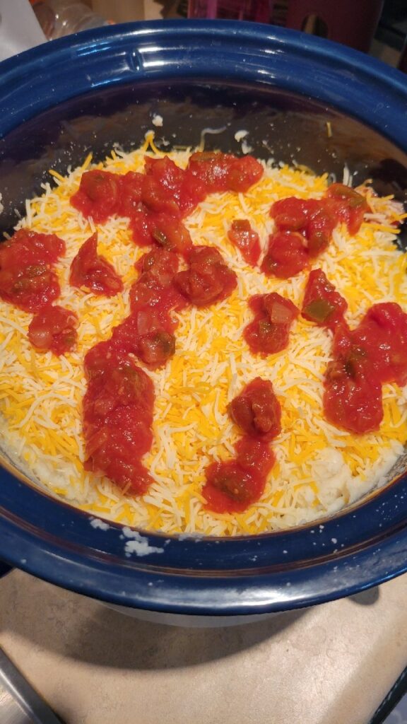 cheese and salsa