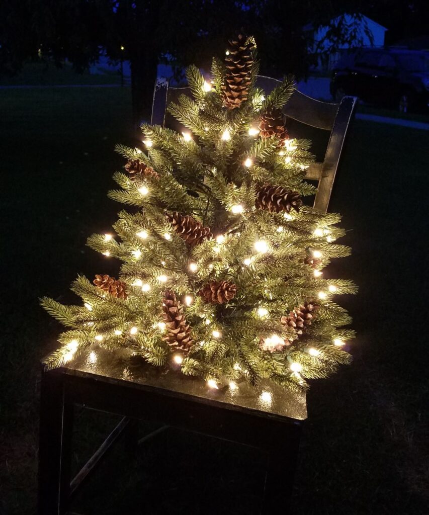 tree lit up at night in a chair