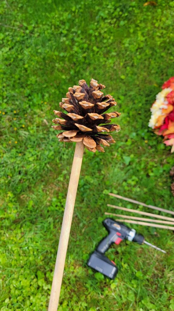 a pine cone on a stick