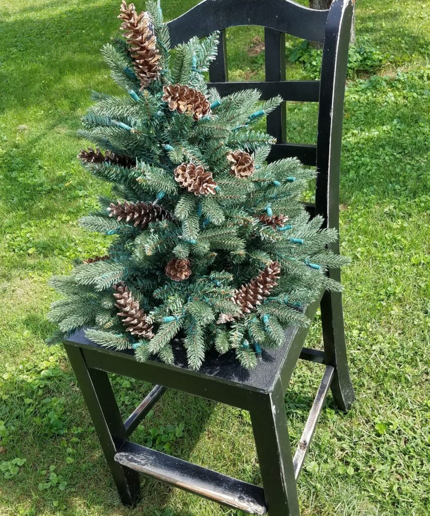 tree with pine cones on a chair