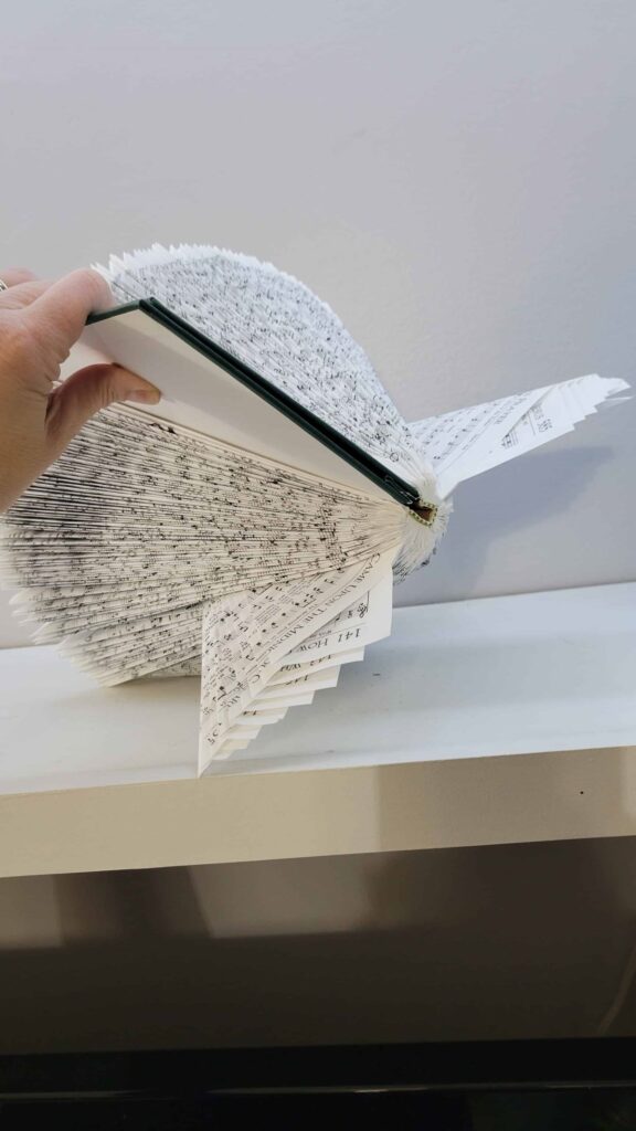 angel book from top