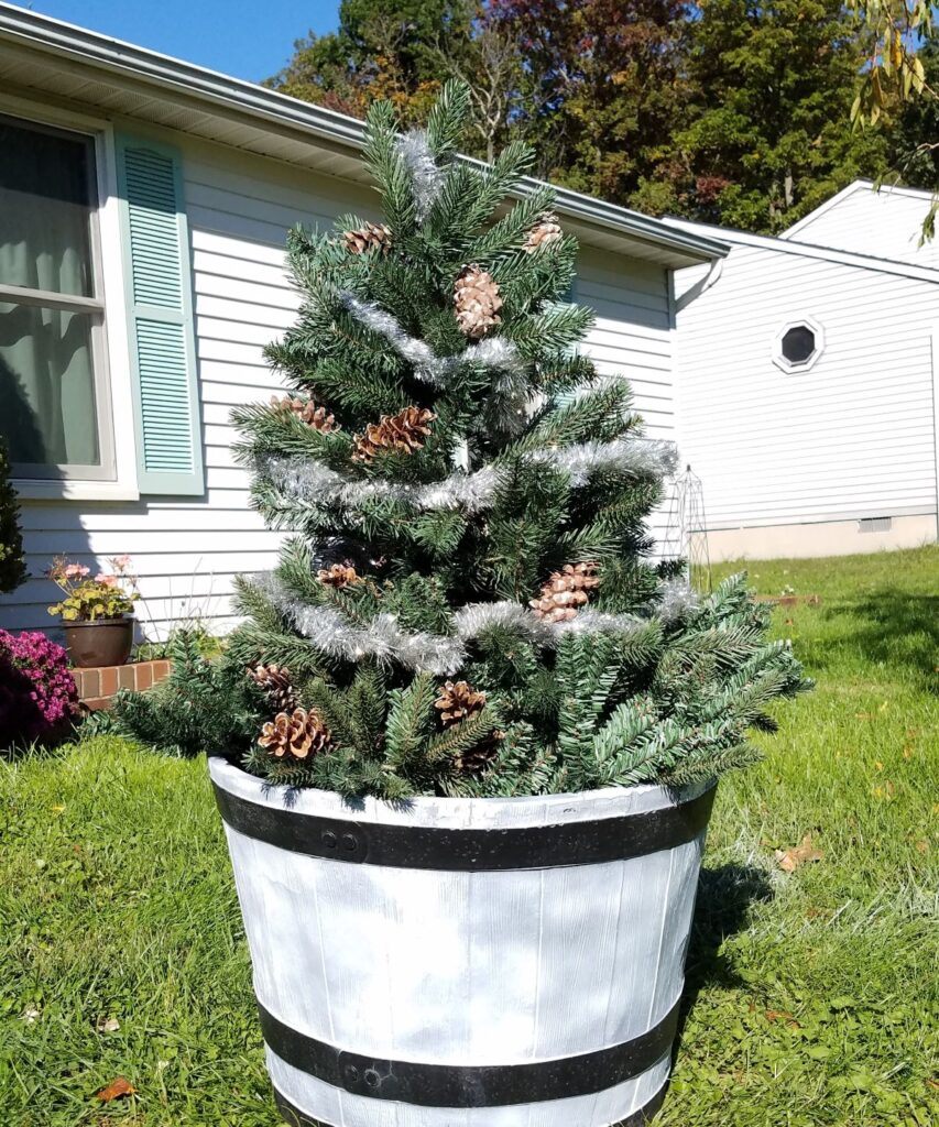 Christmas tree in huge planter