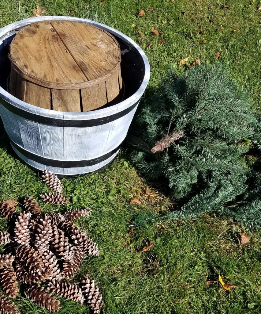 upside down basket in planter