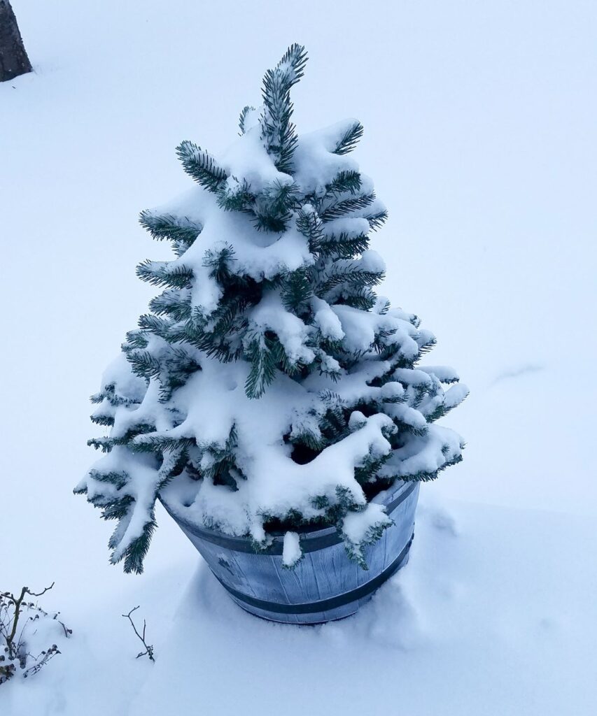 real snow on faux tree