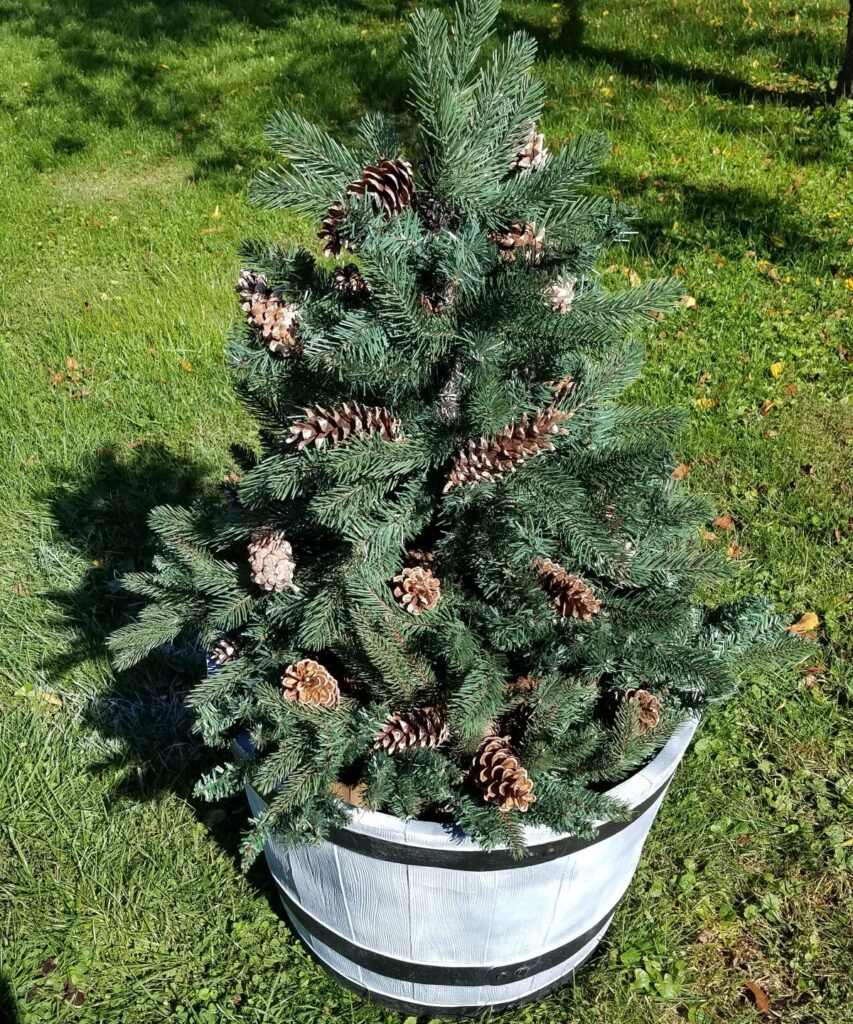 tree with pinecones in planter