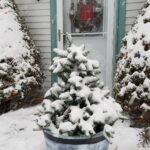 faux tree with real snow on it