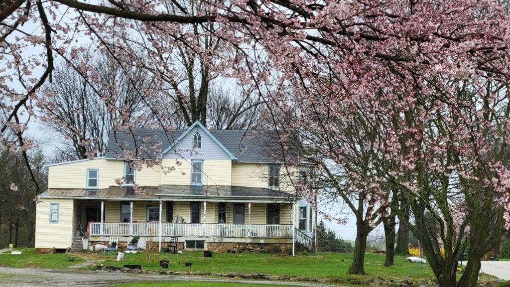 old yellow farmhouse