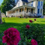 peonies in front of yellow farmhouse