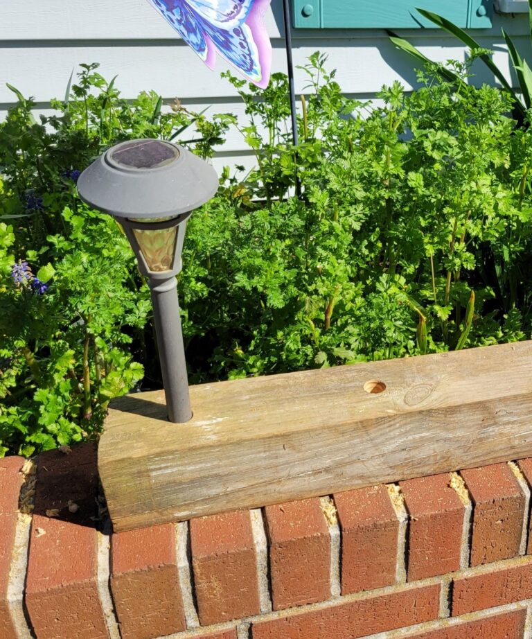 Creative Solar Light Idea B4 and Afters A DIY Challenge