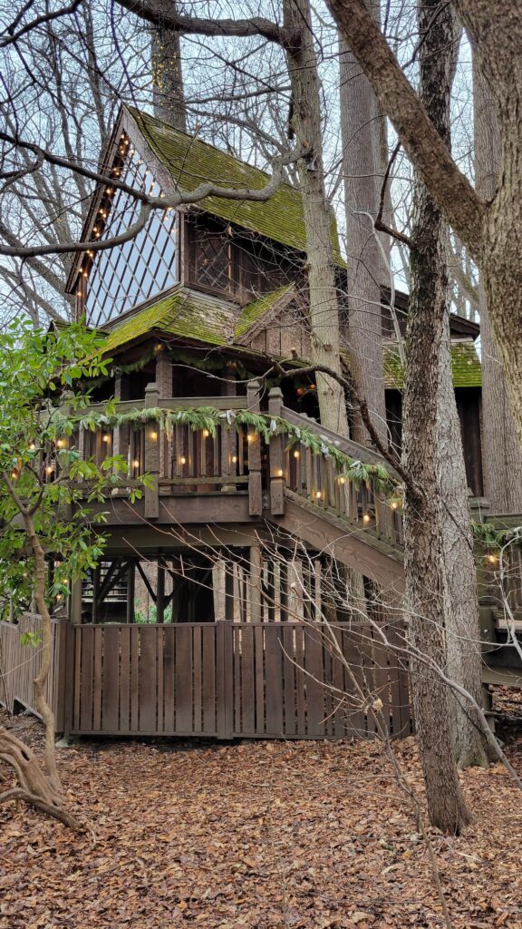 giant treehouse in the woods