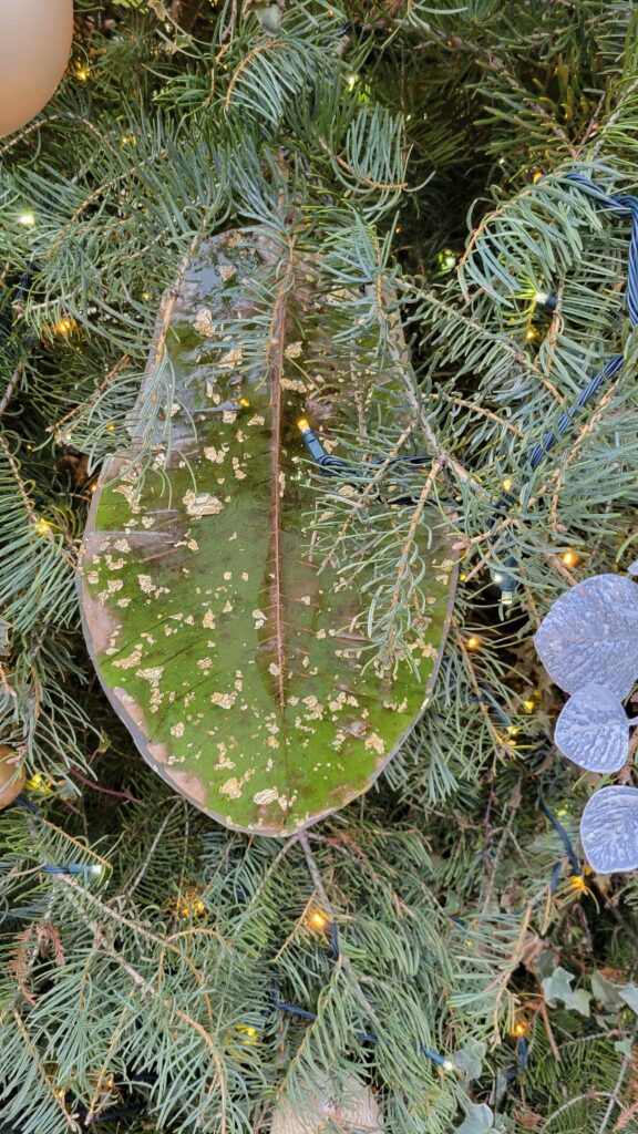 giant leaf in acrylic