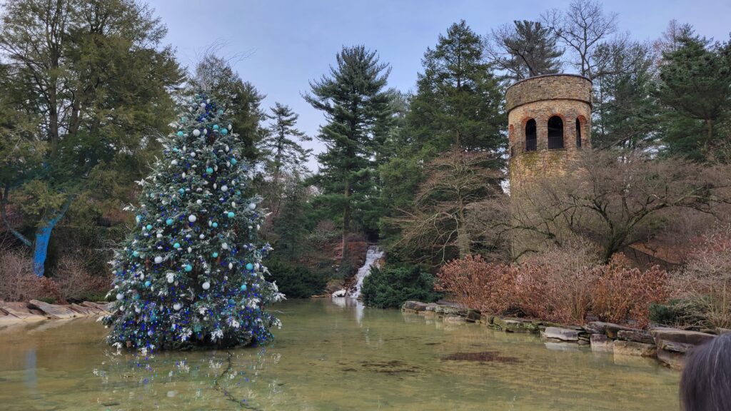 Christmas tree in pond