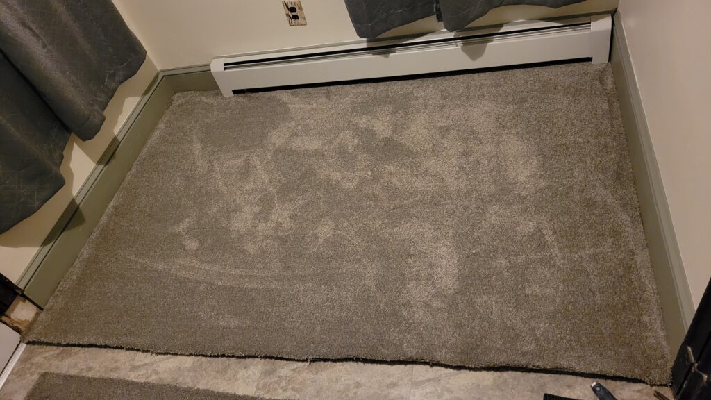 gray carpet