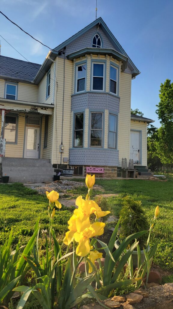 yellow irises and blue and yellow house