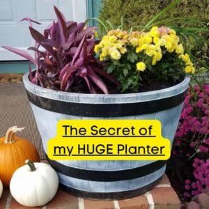 gigantic planter with flowers