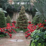 Christmas tree with red poinsettias