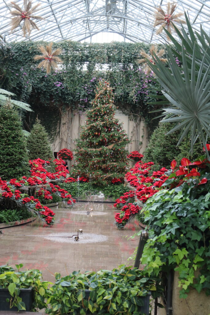 Christmas tree with red poinsettias