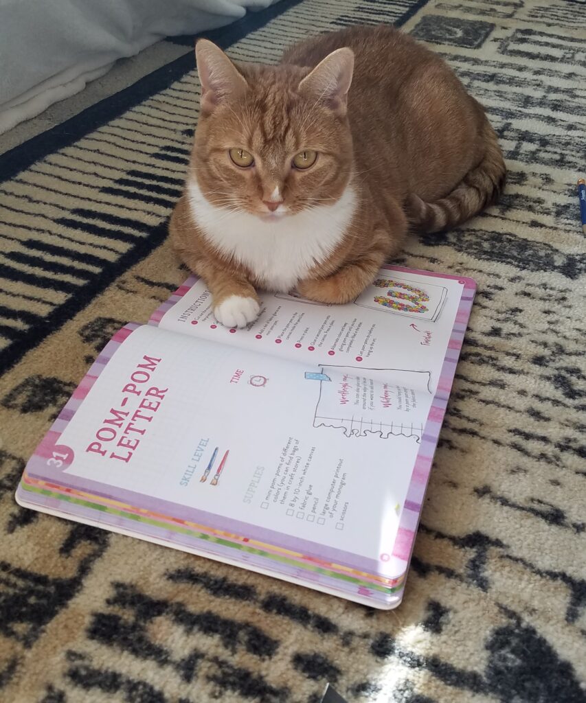 cat on craft book