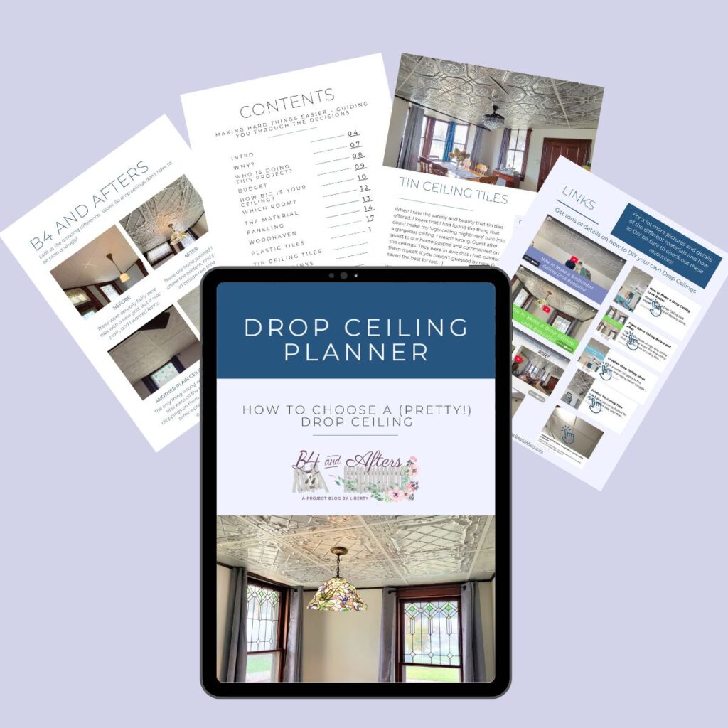 graphic for drop ceiling design ebook